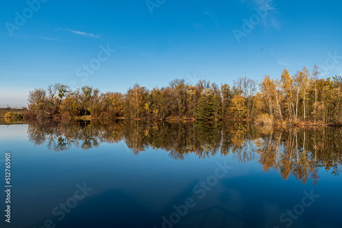 Pond with colorful trees around during autumn day with clear sky