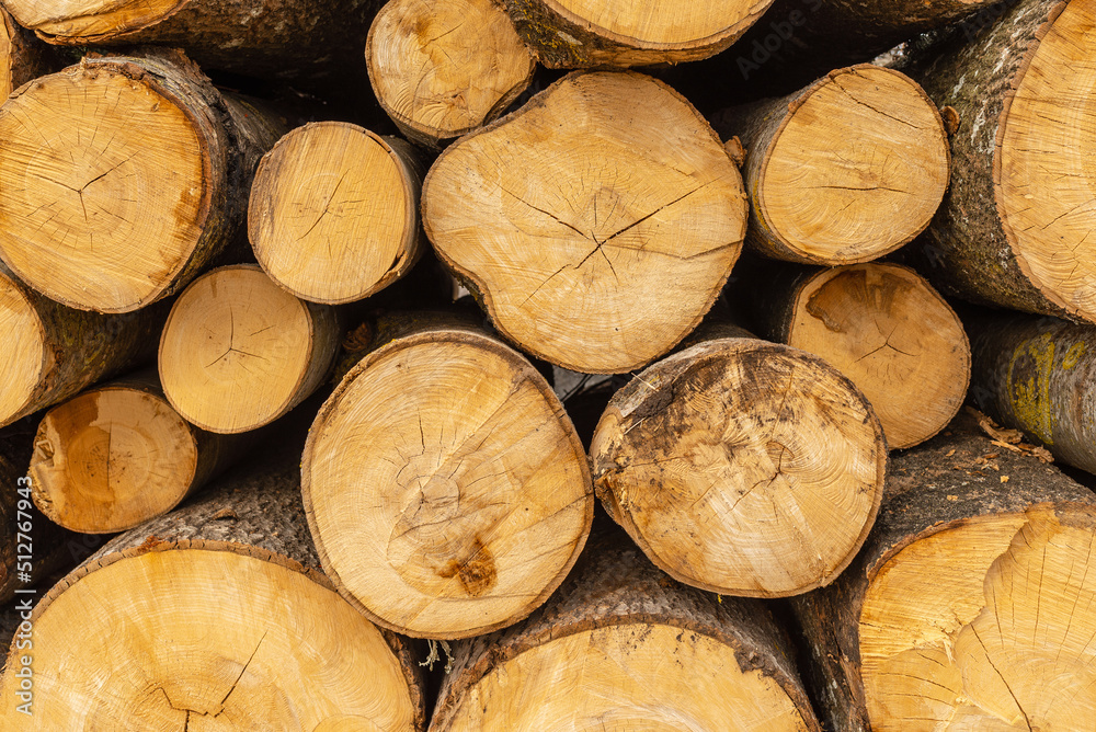 Pile of wood logs storage for industry.Stacked loggs of fire wood texture background.Selective focus. Pile of wood logs storage for industry.Stacked loggs of fire wood texture background.Selective focus.