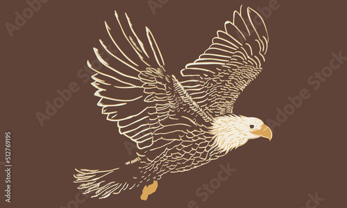 Fly eagle print design. Eagle line vector design for apparel, stickers, posters, background and others. Freedom forever artwork.