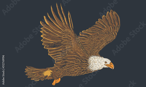 Eagle vector illustration . Wild bird graphic print design for apparel, stickers, posters, background and others. 