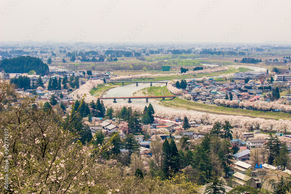 Akita,Tohoku,Japan:Panoramic view of Kakunodate town and the Hinokinaigawa River during cherry blossom festival as seen from the former site of Kakunodate Castle on the hilltop.
