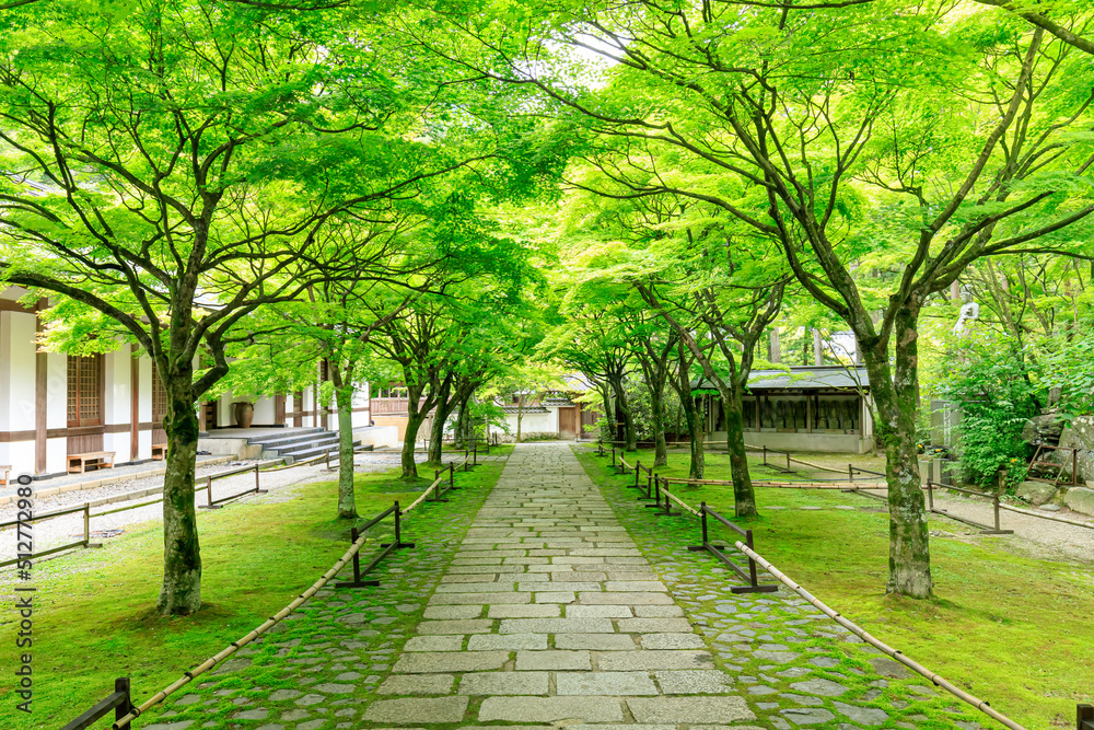 初夏の呑山観音寺　福岡県篠栗町　Nomiyamakannonji temple in early summer. Fukuoka-ken Sasaguri town.	