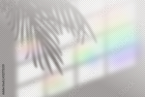 Rainbow flare tropical shadow overlay effect on transparent background. Real blurred iridescent soft light shadow from window. Vector illustration, mockup template of sunlight effect with reflection