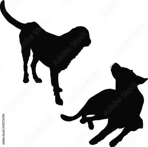 two dog lovely 