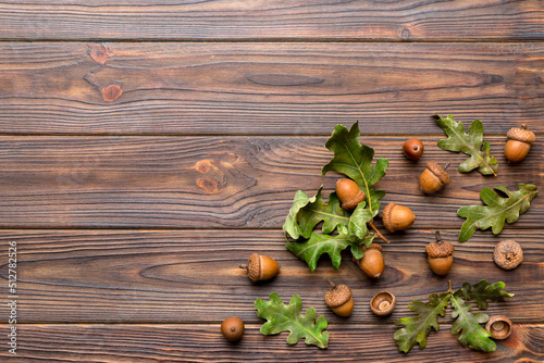 Branch with green oak tree leaves and acorns on colored background, close up top view