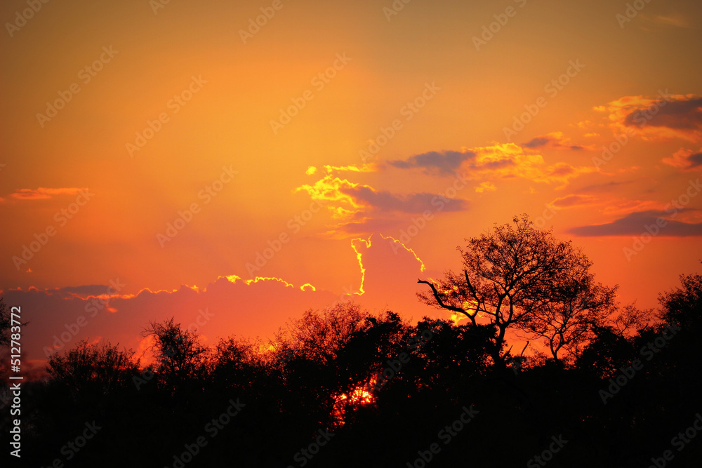 Obraz premium African sunset in the Kruger National Park, South Africa