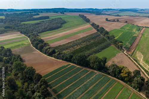 Sadowa panorama