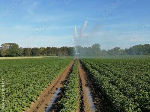 irrigation system in a field