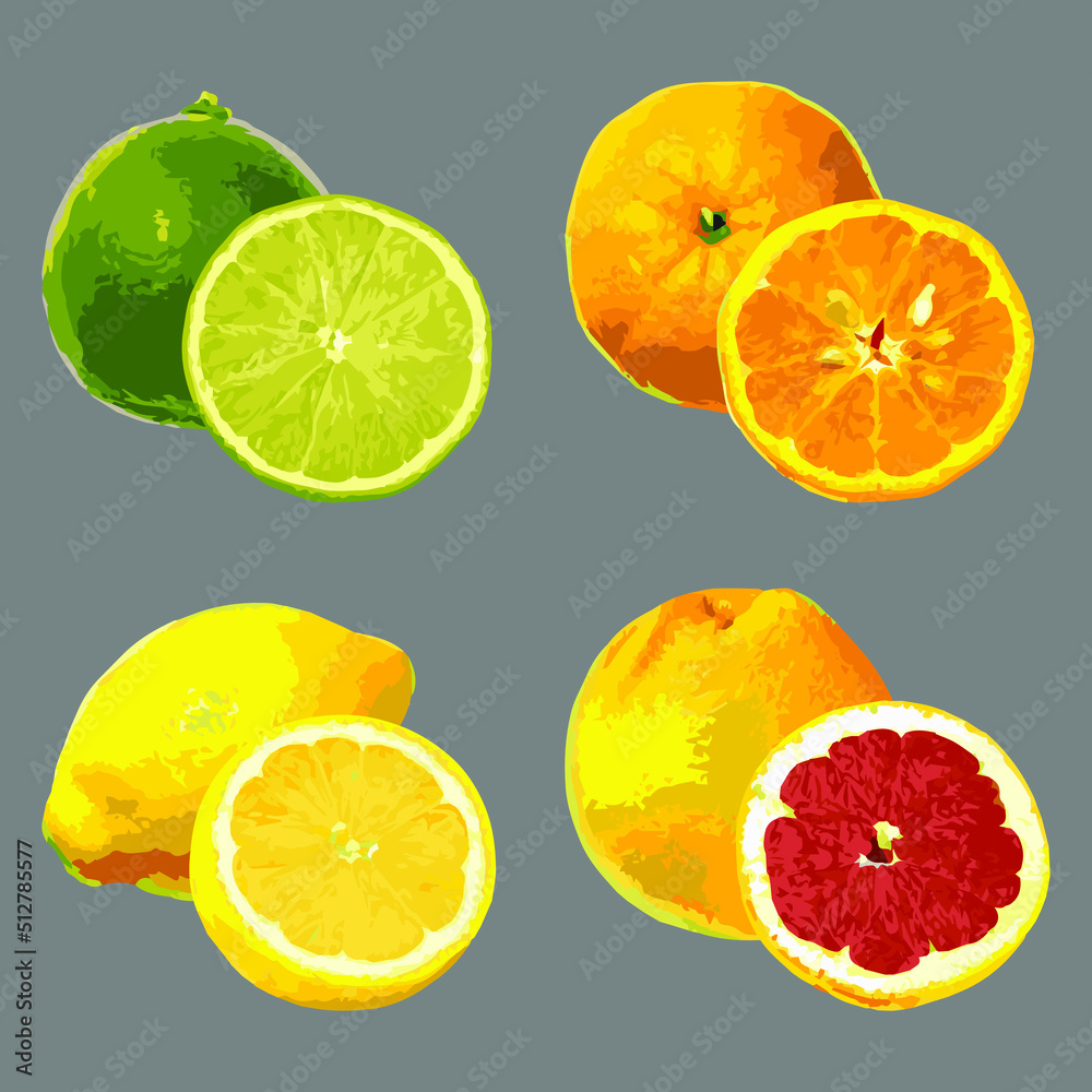 Lime, grapefruit, lemon and tangerine on a gray background. Vector