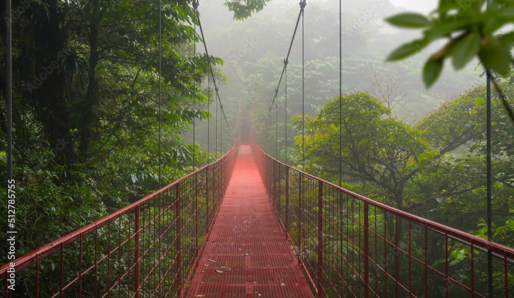 Suspension bridge in tropical rain forest - obrazy, fototapety, plakaty 