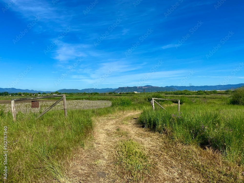 Dirt road entering in through an open gate into a lush green field out in the country with blue sky in Southern Oregon, Pacific Northwest, United States.