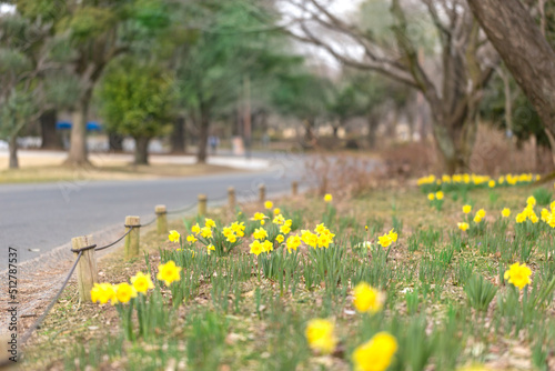 昭和記念公園（東京都立川市）