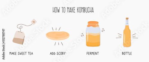 Kombucha fermented probiotic homemade drink guide. Tea mushroom brewing method with scoby. Healthy tea fungus drink ingredients. Flat style hand drawn vector illustration. photo