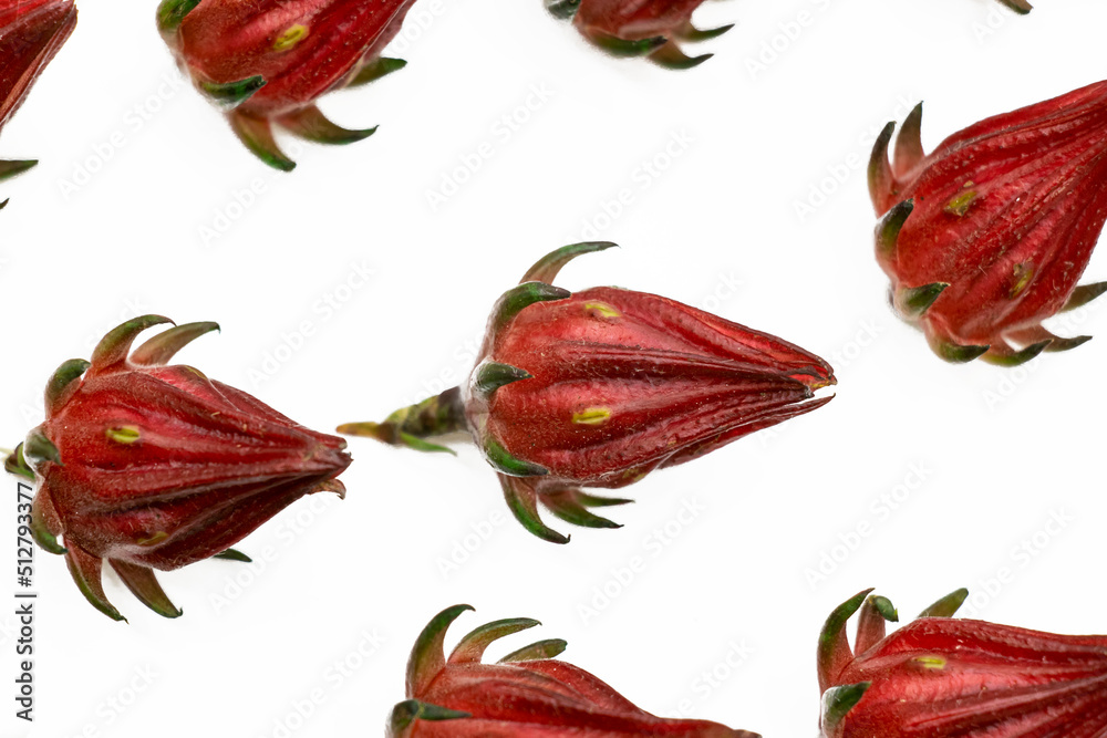Roselle fruits isolated on white background Roselle fruits isolated on white background