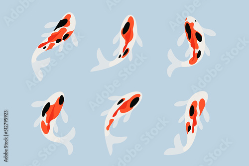 Koi carp illustration. Flat line vector illustration. 
