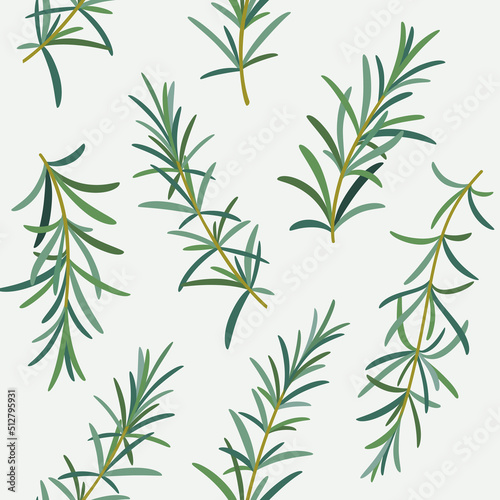 Branch of rosemary. Trendy pattern with twig. Contour vector detail illustration.