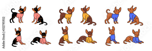 Cartoon dog icon set. Different poses of toy terrier with pullover. Vector illustration for prints, clothing, packaging, stickers.