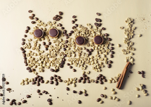 figurines of two cartoon owls made from raw and roasted coffee beans flat lay