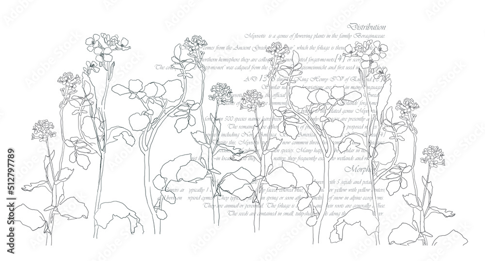 Botanical arts. Hand drawn continuous line drawing of abstract flower on white with text backround Botanical arts. Hand drawn continuous line drawing of abstract flower on white with text backround
