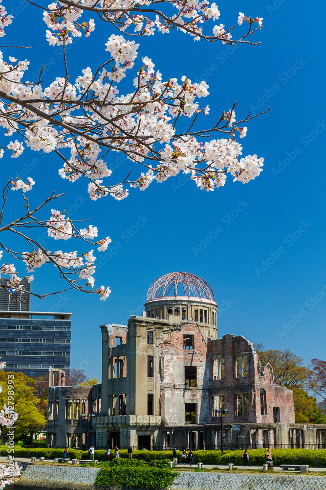満開の桜と原爆ドーム(広島県広島市)
