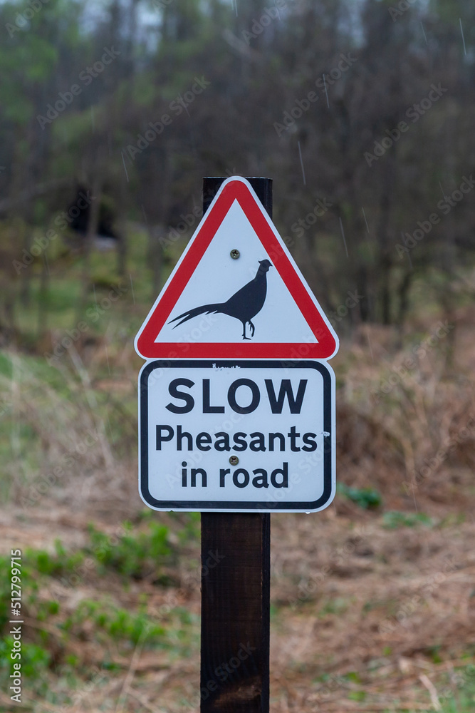 A SIgn in the Countryside Warning of Pheasants in the Road A SIgn in the Countryside Warning of Pheasants in the Road