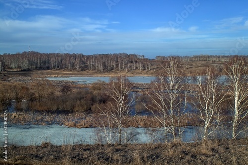 the bank of a small river in early spring