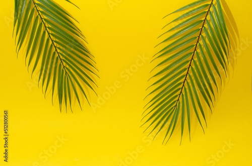 Palm tree leaf on yellow background. Minimalism. Aesthetic copy space. Summer scene. 