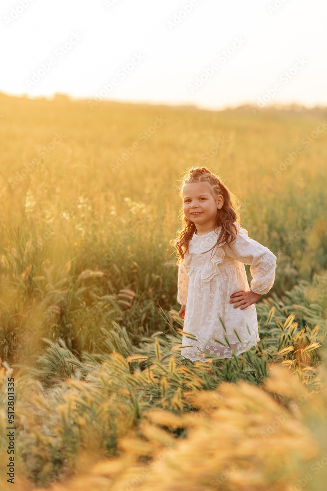 Little cheerful child girl walks among meadow. Little cheerful child girl walks among meadow.