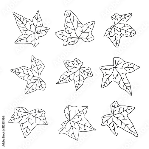 Ivy leaf outline set. Collection of ivy leaves in different shapes and lines. Design elements for contour decoration