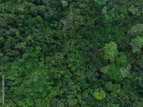 Aerial view of beautiful tropical forest mountain landscape © lzf