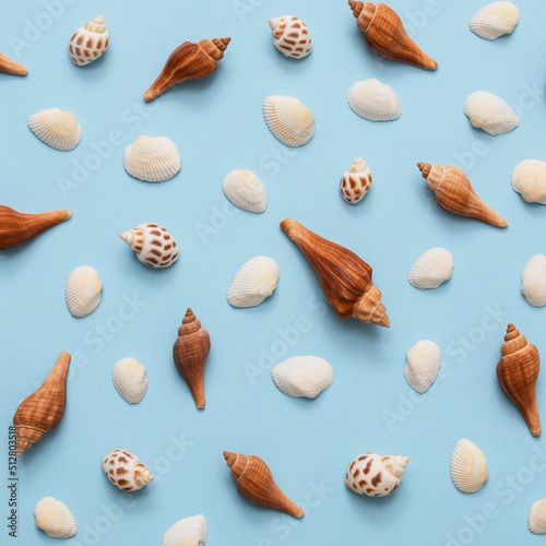 Summer minimalist pattern on a blue background with white and brown sea shells - ideal for elegant branding identities - flat lay. Tropical vacation concept.
