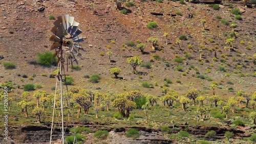 Windmill in front of quiver tree forest photo