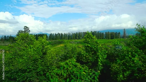 Shooting of beautiful summer landscape from moving train 