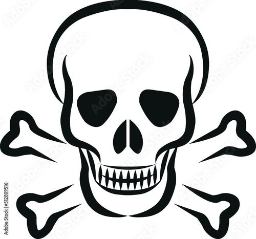 skull and crossbones icon