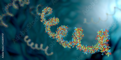 Ribonucleic acid strands consisting of nucleotides important for protein bio-synthesis - 3d illustration photo