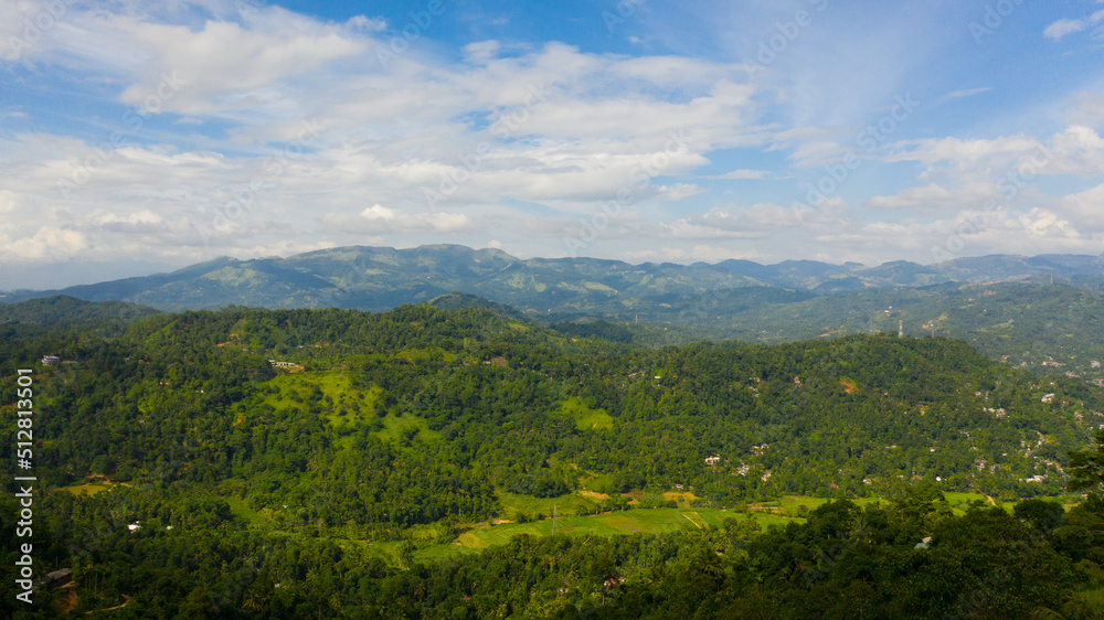 Mountain landscape: mountains with green forests and agricultural land with farm plantations. Sri Lanka.