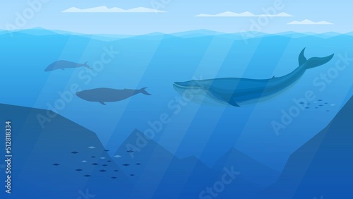 Flock of blue whales underwater