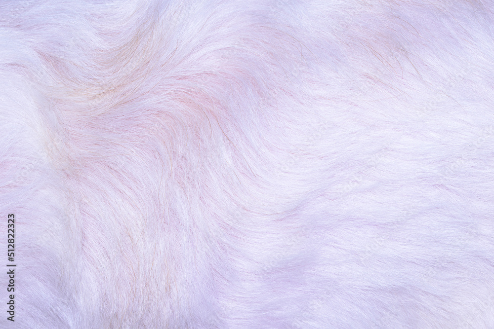 white pink fur texture close-up beautiful abstract fur background white pink fur texture close-up beautiful abstract fur background