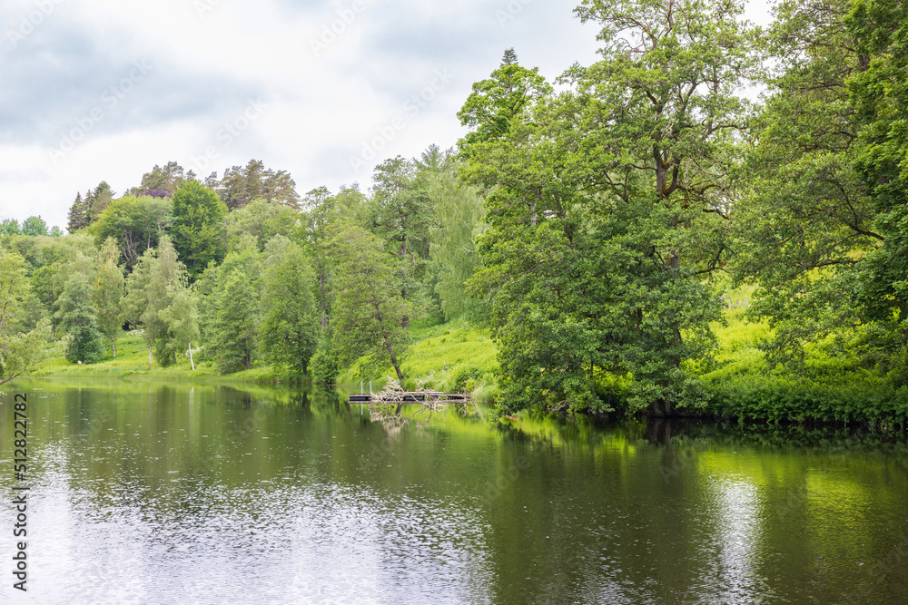 Lakeshore with lush deciduous forest in the summer Lakeshore with lush deciduous forest in the summer