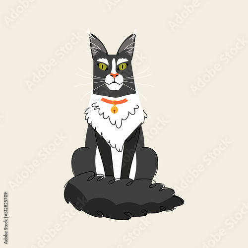 Maine Coon breed cat isolated on beige background. Vector illustration pet character