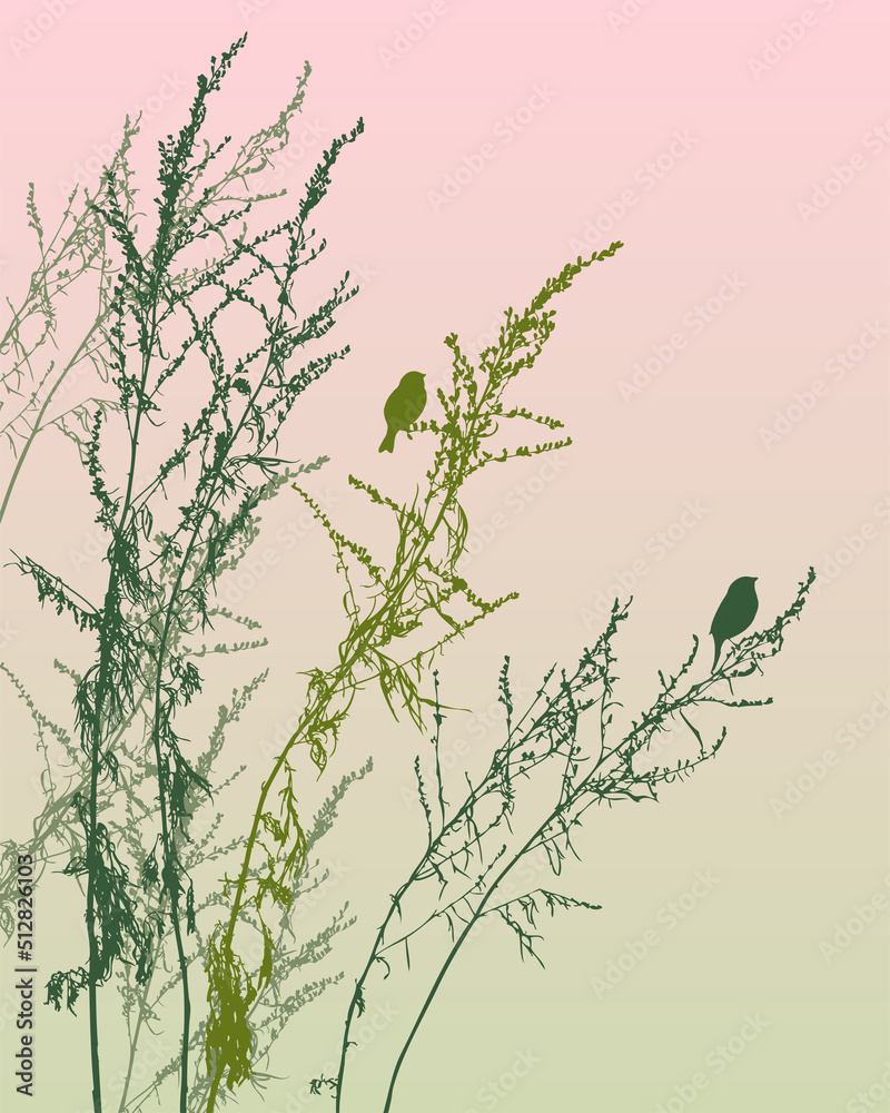 Obraz premium Nature background of silhouettes birds on wildflowers against morning sky