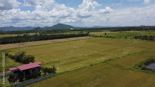 view of the countryside in the summer