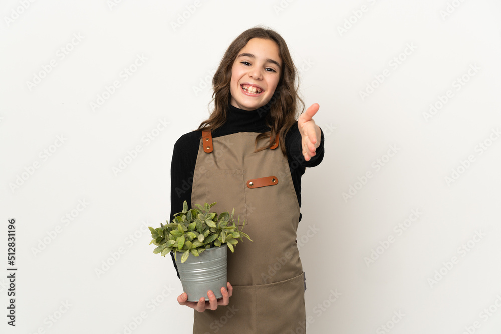 Little girl holding a plant isolated on white background shaking hands for closing a good deal Little girl holding a plant isolated on white background shaking hands for closing a good deal