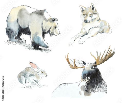 Bear, wolf, elk, hare. Wild animals of the forests. Watercolor hand drawn illustration. Sketch style