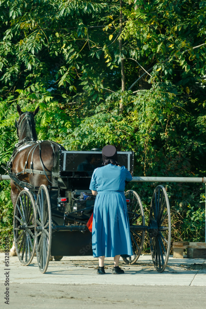 Amish woman putting her groceries into her buggy | Holmes County, Ohio Amish woman putting her groceries into her buggy | Holmes County, Ohio