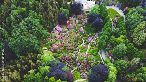 Aerial view of colorful blooming rhododendron shrubs among the trees in the Oasi Zegna, natural area and tourist attraction in the Province of Biella, Piedmont, Italy.