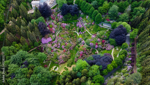 Aerial view of colorful blooming rhododendron shrubs among the trees in the Oasi Zegna, natural area and tourist attraction in the Province of Biella, Piedmont, Italy.