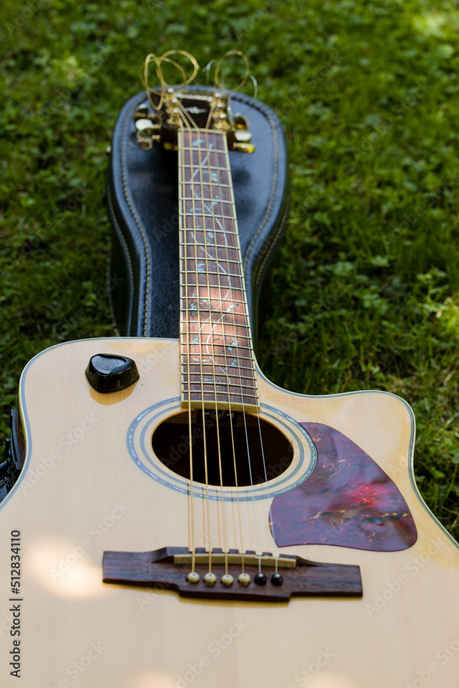 Obraz premium guitar in summer in nature