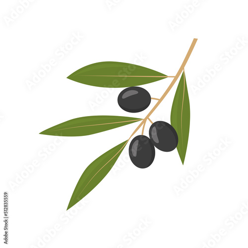 black olive tree branch- vector illustration