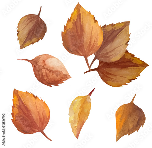 dead leaves on a branch, autumn dry leaves watercolor illustration